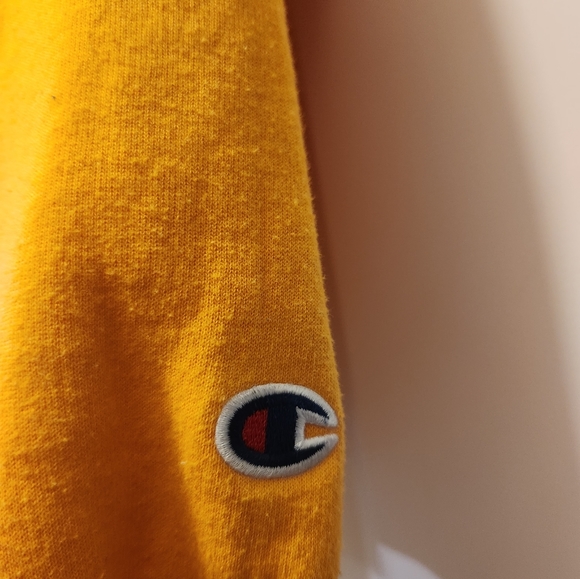 *Rare Find* Retro Champion Michigan University Christmas Sweater - Picture 3 of 3